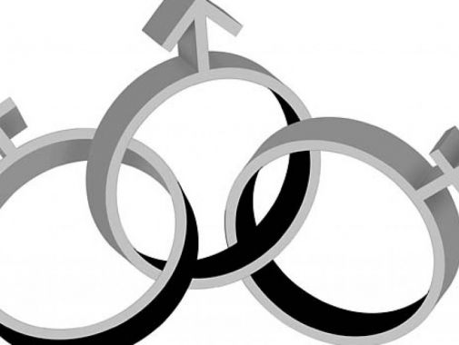 Artigo – Migalhas – Alteração do regime de bens do casamento – Por Marina Aidar de Barros