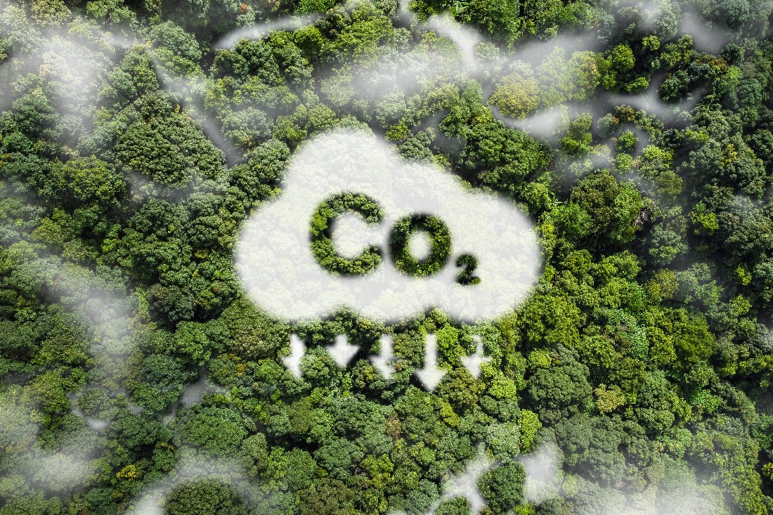 COP 30: Em audiência pública no Amazonas, CNJ reitera compromisso com carbono zero